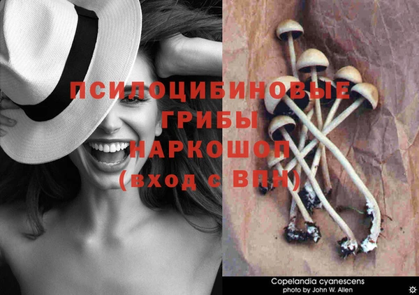кокаин премиум Липки
