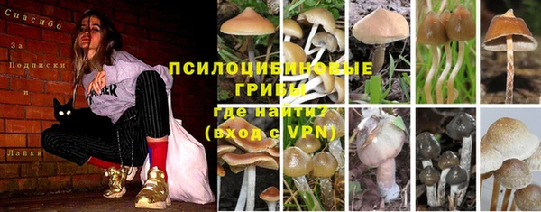 кокаин премиум Липки